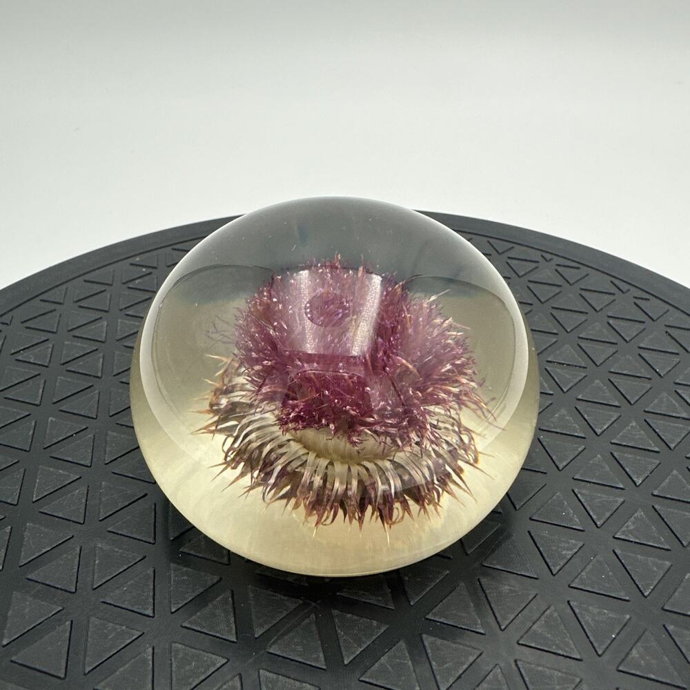 Tarax Infinity Products Acrylic Handcrafted Canada Floral Thistle Paperweight